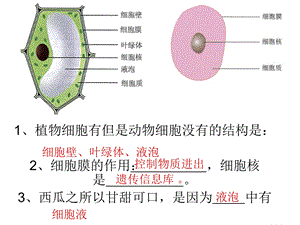 《初中生物课本》PPT课件.ppt