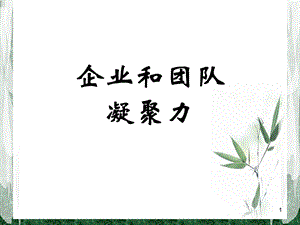 《凝聚力培训》PPT课件.ppt