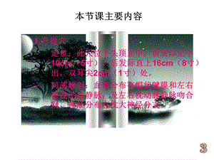 《平衡针灸学》PPT课件.ppt