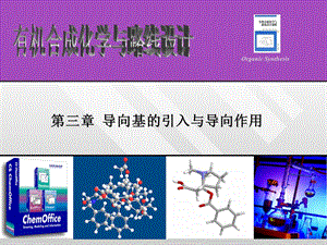 《导向基的引导》PPT课件.ppt