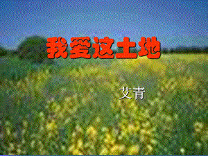 我爱这土地.ppt .ppt