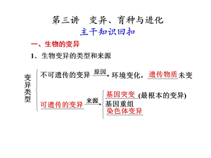 《变异育种与进化》PPT课件.ppt