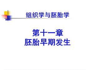 《人体早期发育》PPT课件.ppt