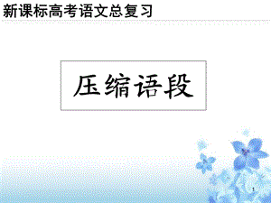 《压缩语段最新》PPT课件.ppt