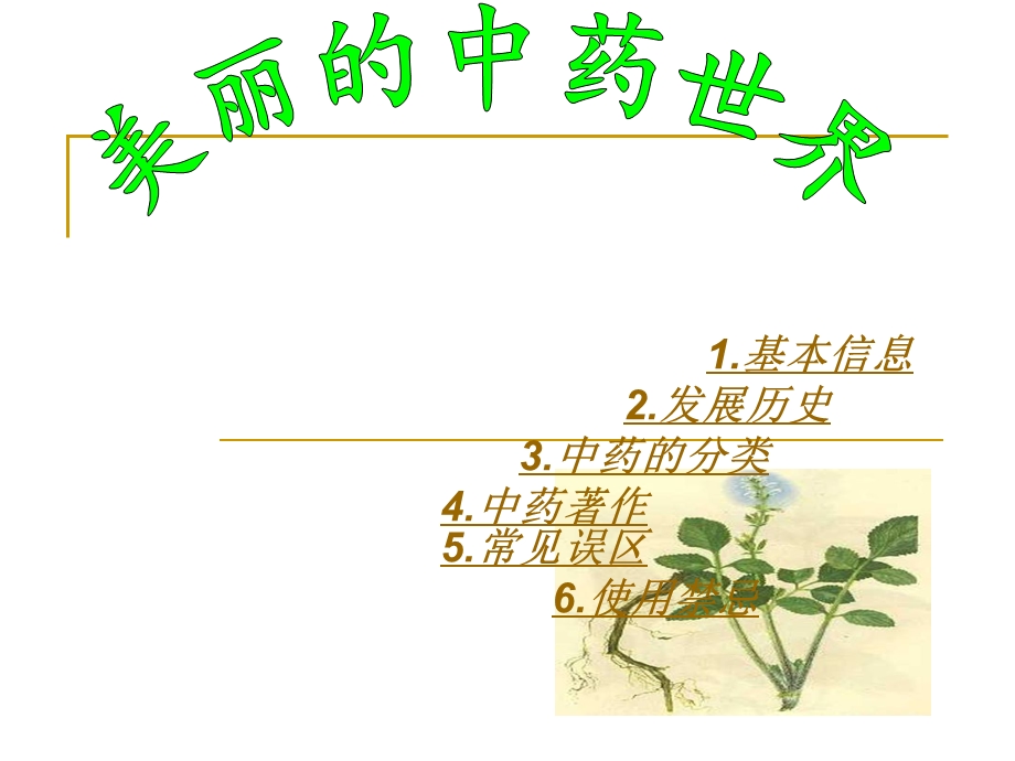 中药的世界.ppt_第1页