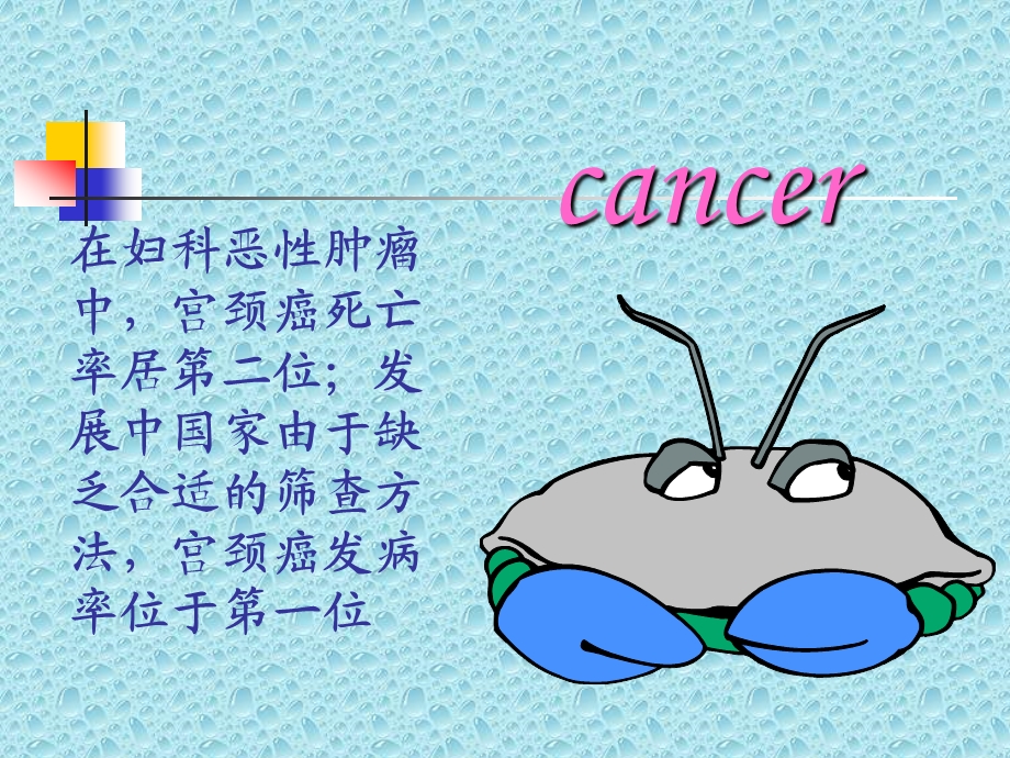 《子宫颈癌》PPT课件.ppt_第2页