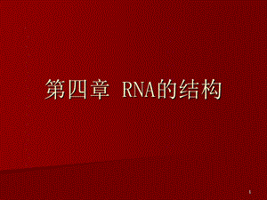 《RNA的结构》PPT课件.ppt