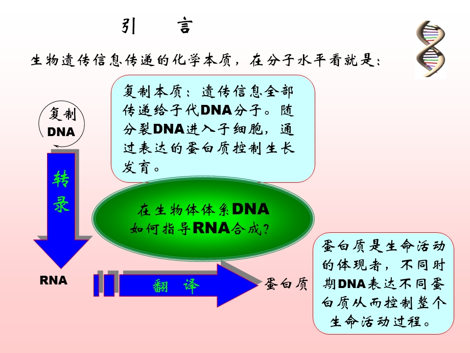 《RNA合成》PPT课件.ppt_第2页