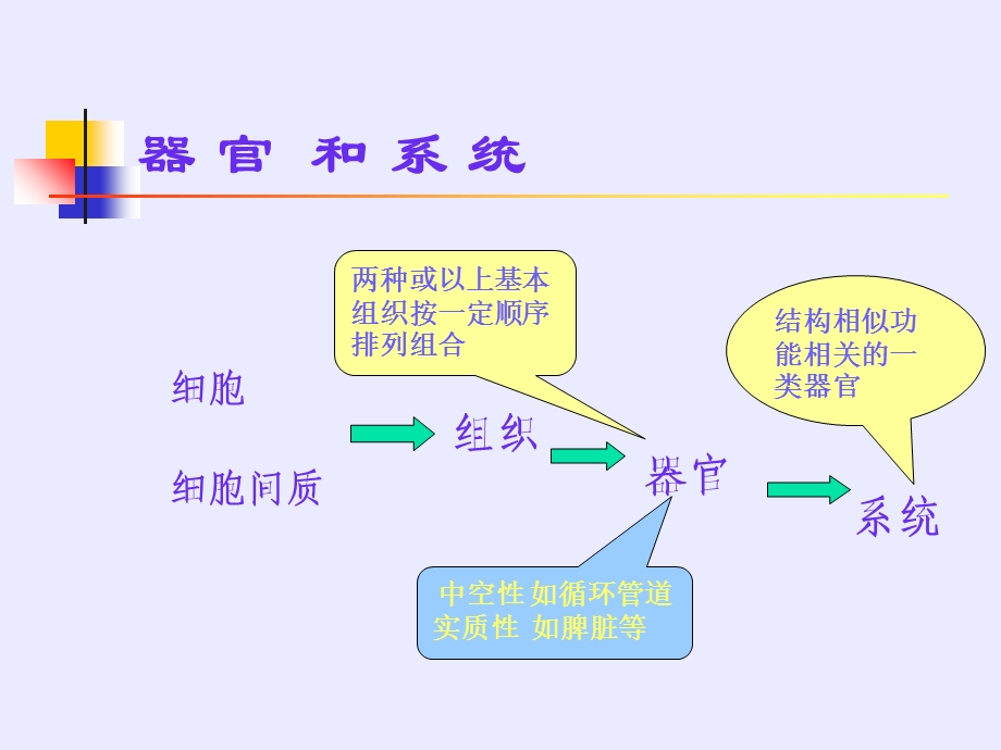 《循环系统讲》PPT课件.ppt_第1页