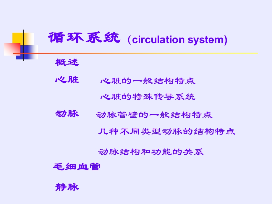 《循环系统讲》PPT课件.ppt_第3页