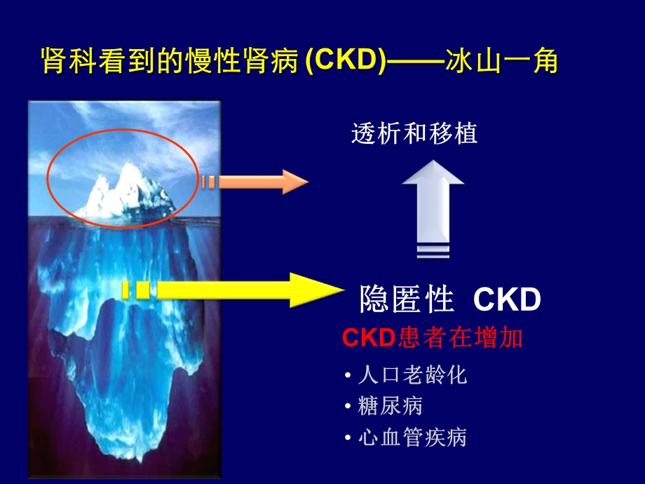 他汀的肾脏保护作用.ppt_第2页