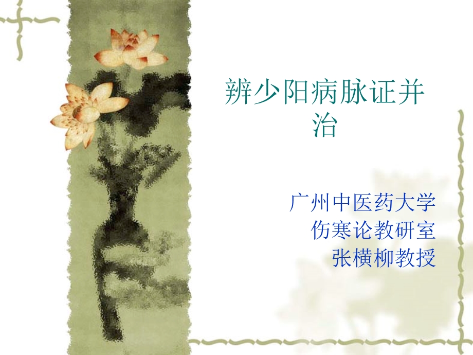 伤寒论少阳病篇(七版).ppt_第1页