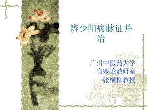 伤寒论少阳病篇(七版).ppt