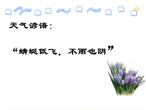 《天气谚语》PPT课件.ppt