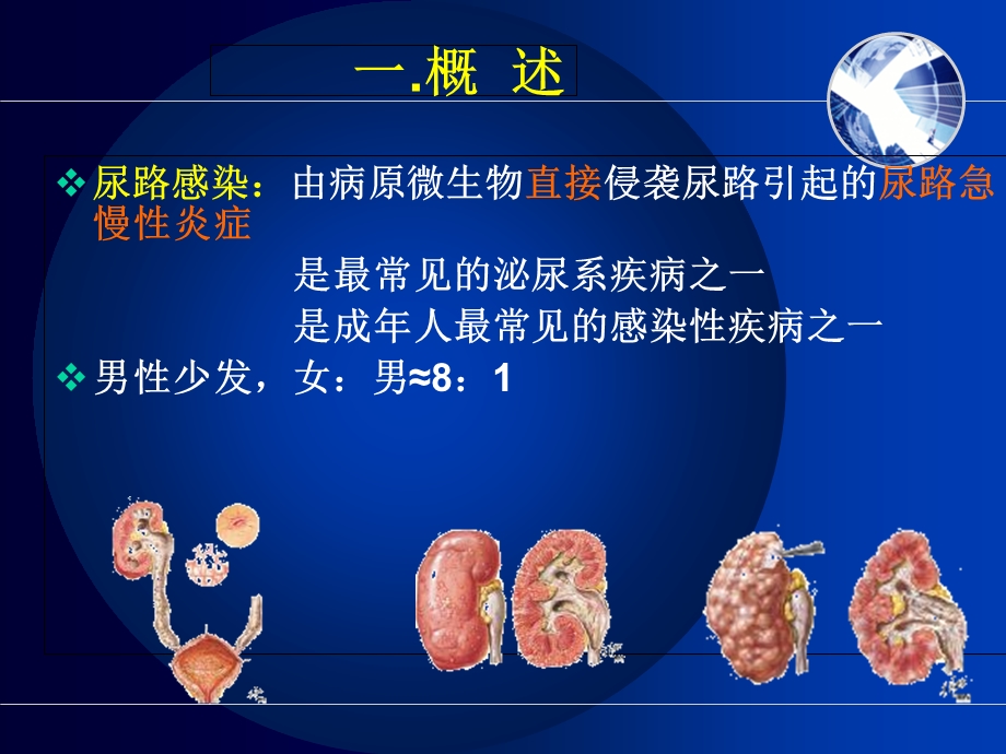 《尿路感染护理》PPT课件.ppt_第2页