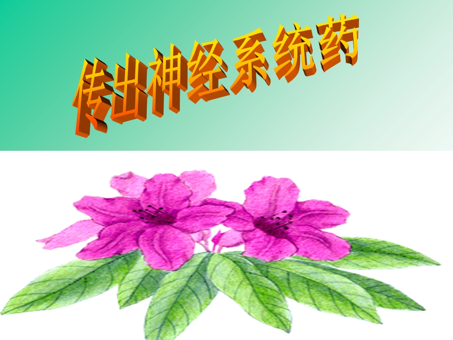 《传出神经系统药》PPT课件.ppt_第1页