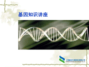 《基因培训资料》PPT课件.ppt