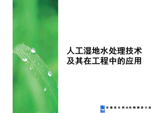 《人工湿地》PPT课件.ppt