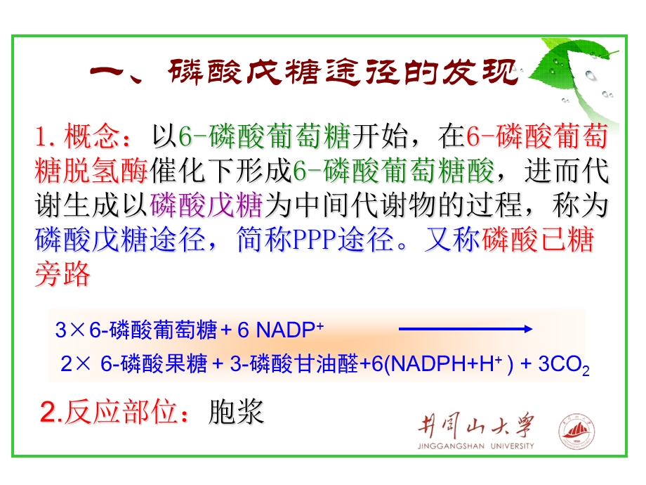 《戊糖磷酸途径》PPT课件.ppt_第3页