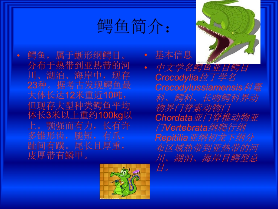 鳄鱼简介.ppt_第2页