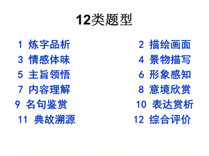 《古诗赏析剖析》PPT课件.ppt