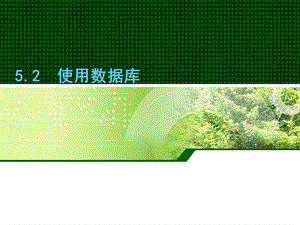 《使用数据库》PPT课件.ppt