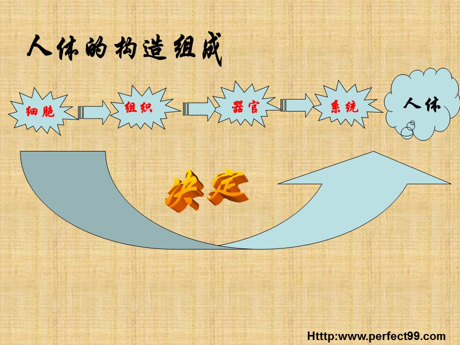 《健康理念透析》PPT课件.ppt_第3页