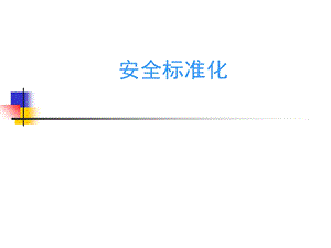 《安全标准化讲义》PPT课件.ppt