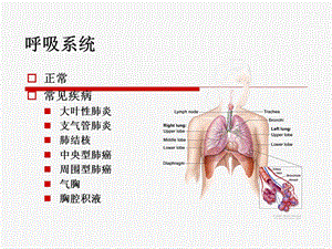 《X线和CT诊断》PPT课件.ppt