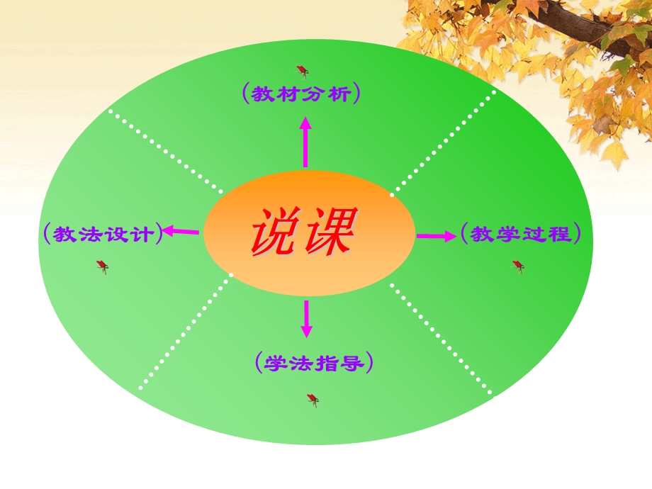 《平抛运动说》PPT课件.ppt_第2页