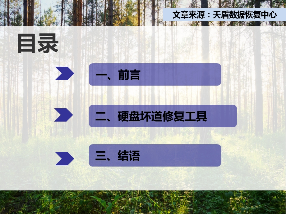 硬盘坏道修复工具.ppt_第2页