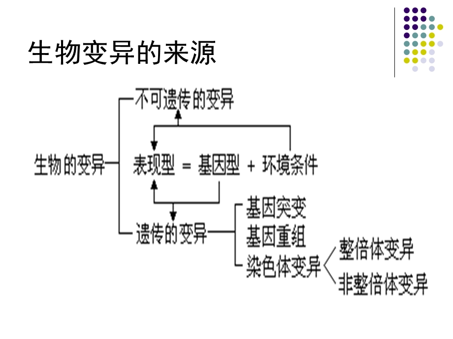 《变异育种遗传病》PPT课件.ppt_第2页