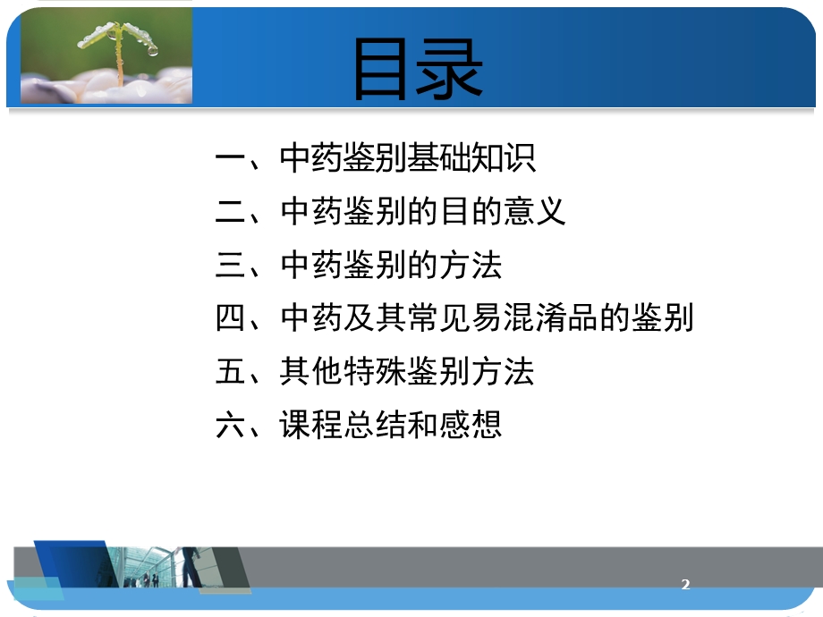 中药传统鉴定.ppt_第2页