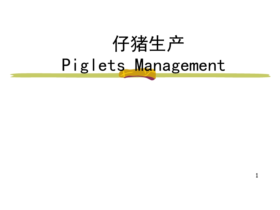 《仔猪生产》PPT课件.ppt_第1页