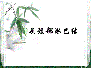 《头颈部淋巴结》PPT课件.ppt