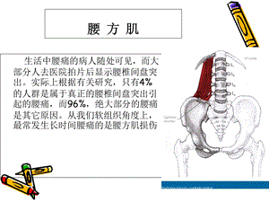 《处理腰方肌受损》PPT课件.ppt