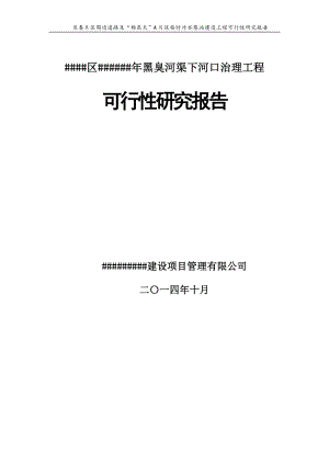 黑臭河渠下河口治理工程项目可行性研究报告.doc