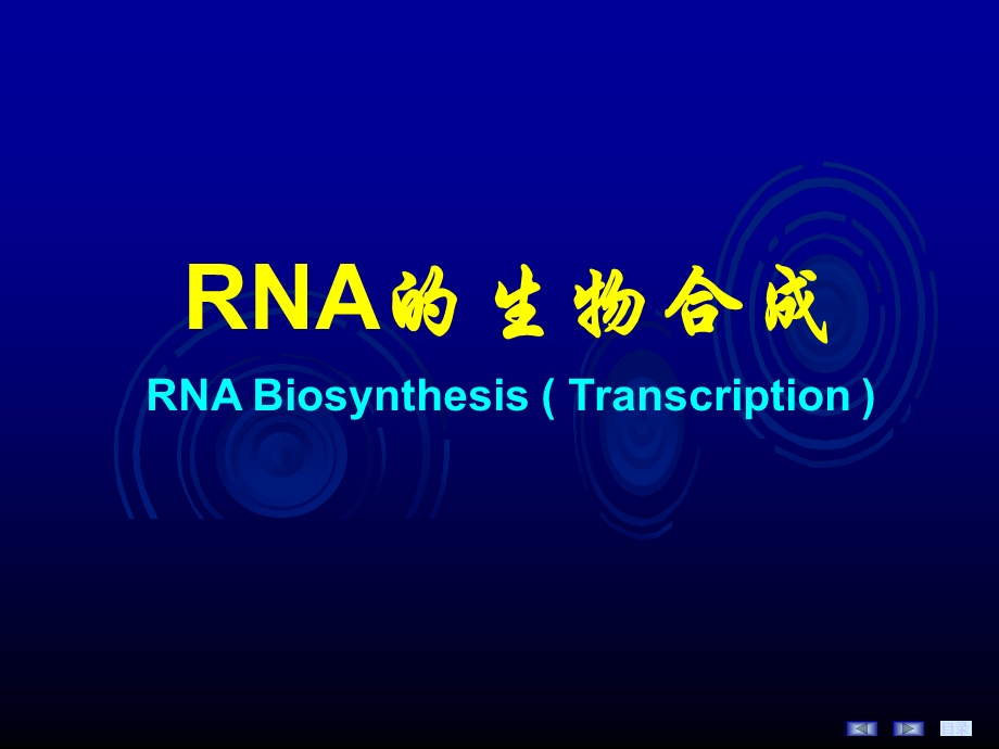 《RNA的生物合成》PPT课件.ppt_第1页