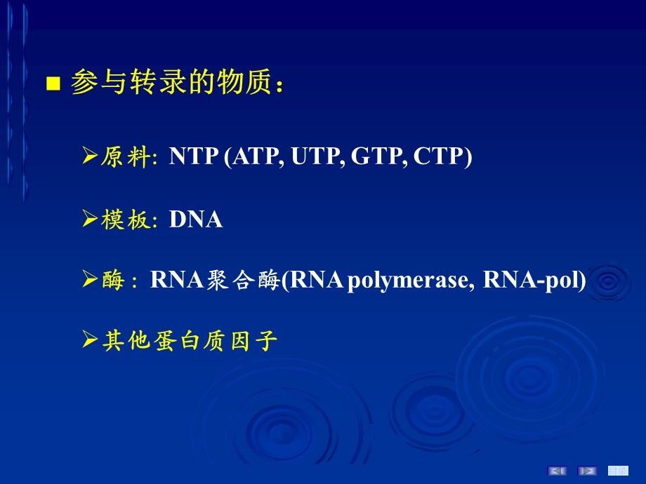 《RNA的生物合成》PPT课件.ppt_第3页