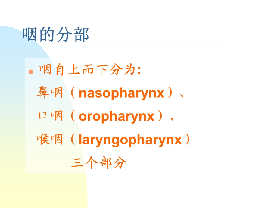 《咽喉解剖生理》PPT课件.ppt_第3页