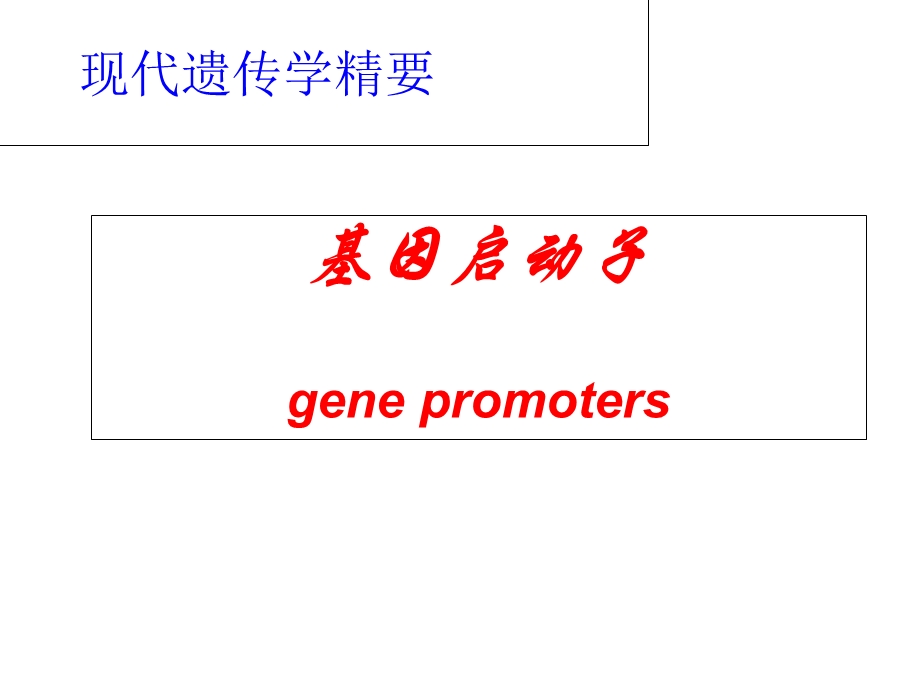 《基因启动子》PPT课件.ppt_第1页