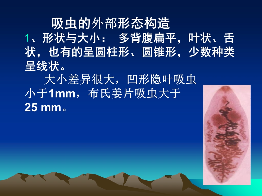 《寄生虫病诊断》PPT课件.ppt_第2页