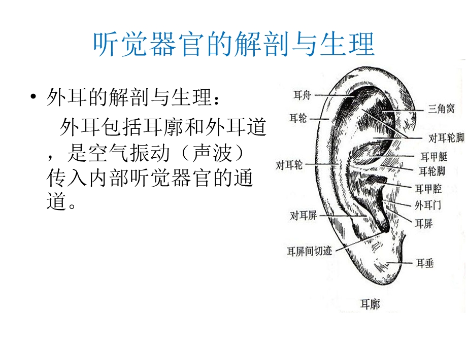 《听觉障碍》PPT课件.ppt_第2页