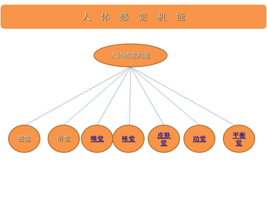 《人体感觉机能》PPT课件.ppt_第1页