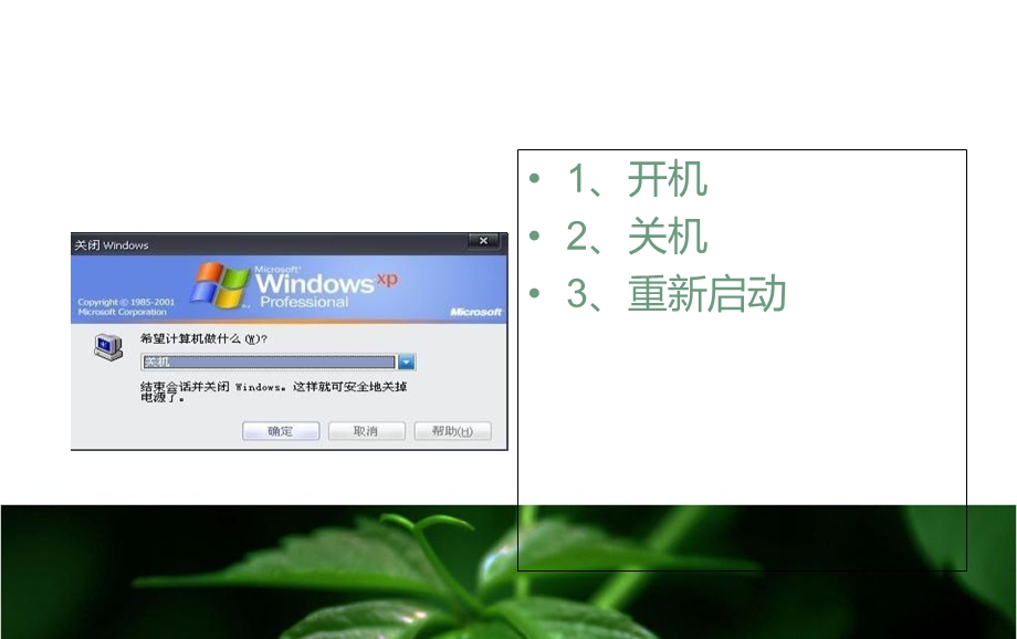 《安全管理机考》PPT课件.ppt_第3页