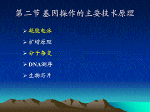 《凝胶电泳》PPT课件.ppt