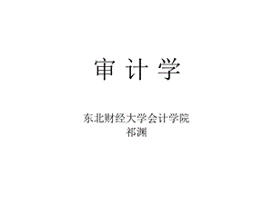 《审计学本科》PPT课件.ppt