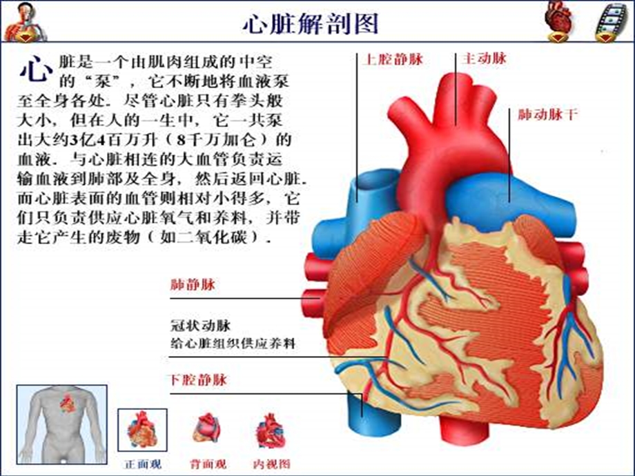 《心脏疾病用药》PPT课件.ppt_第1页