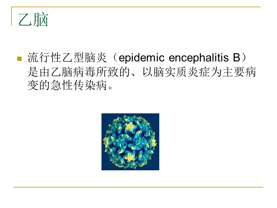 《乙脑和流脑》PPT课件.ppt_第2页