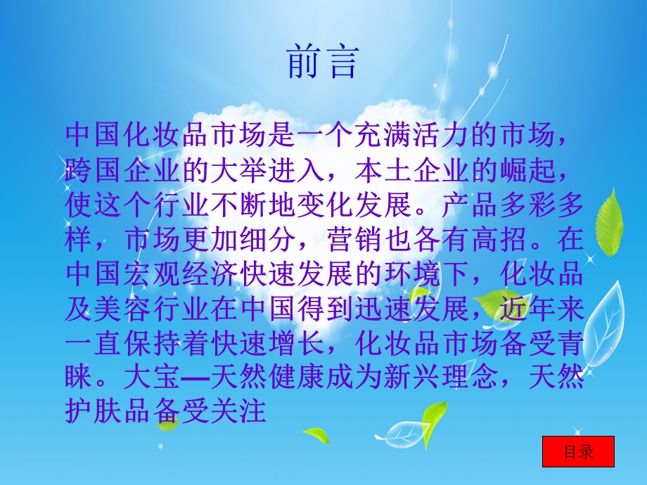 《大宝网络营销》PPT课件.ppt_第2页